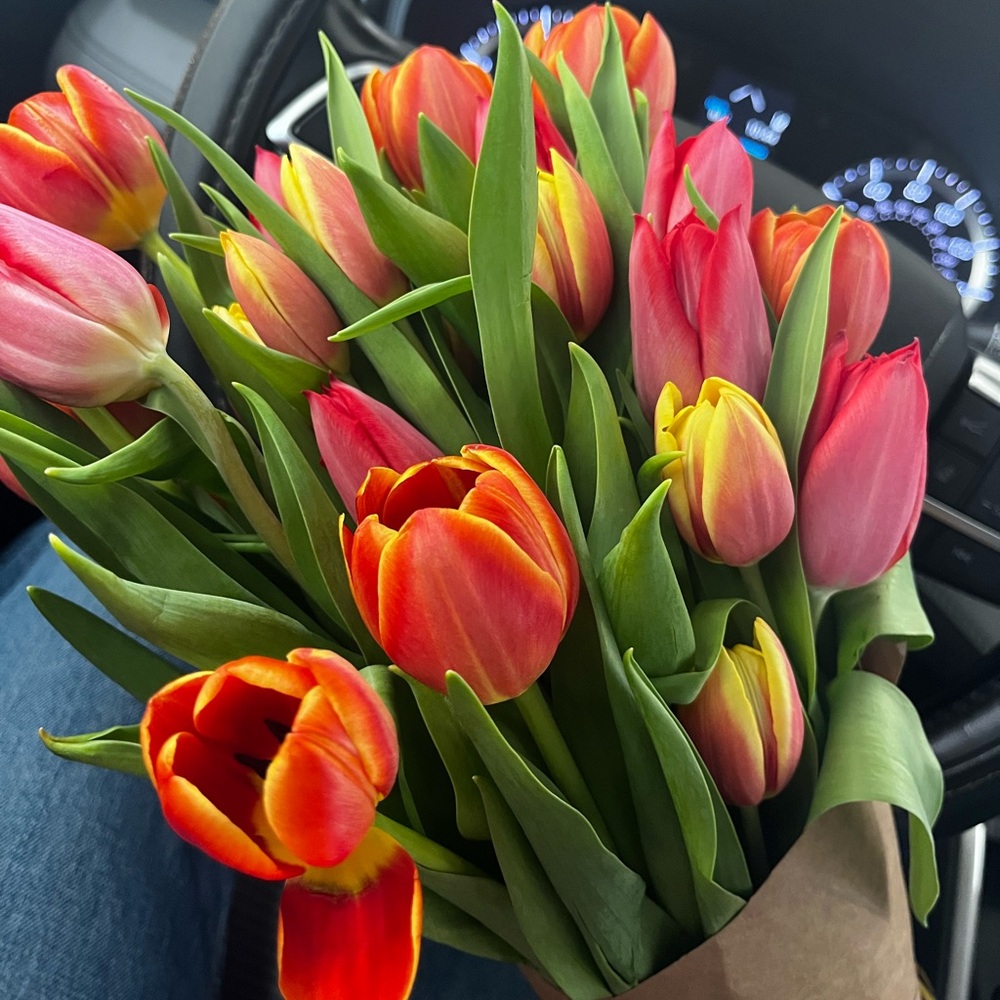 Meet your Posher, Roshni